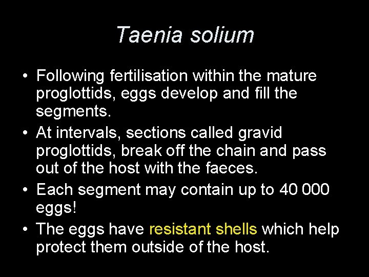 Taenia solium • Following fertilisation within the mature proglottids, eggs develop and fill the
