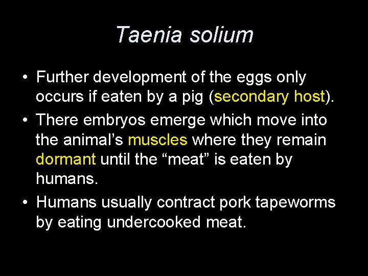 Taenia solium • Further development of the eggs only occurs if eaten by a