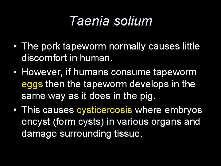 Taenia solium • The pork tapeworm normally causes little discomfort in human. • However,