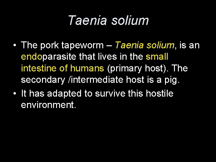 Taenia solium • The pork tapeworm – Taenia solium, is an endoparasite that lives