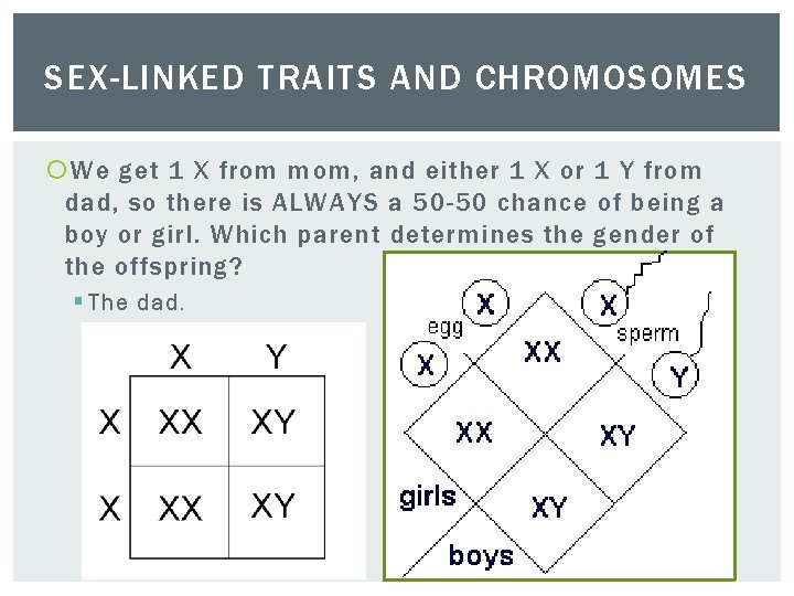 SEX-LINKED TRAITS AND CHROMOSOMES We get 1 X from mom, and either 1 X