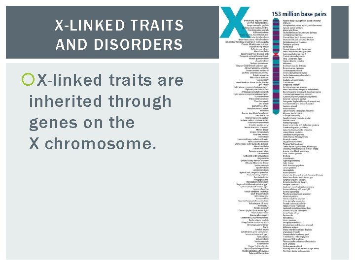 X-LINKED TRAITS AND DISORDERS X-linked traits are inherited through genes on the X chromosome.