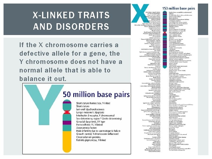 X-LINKED TRAITS AND DISORDERS If the X chromosome carries a defective allele for a