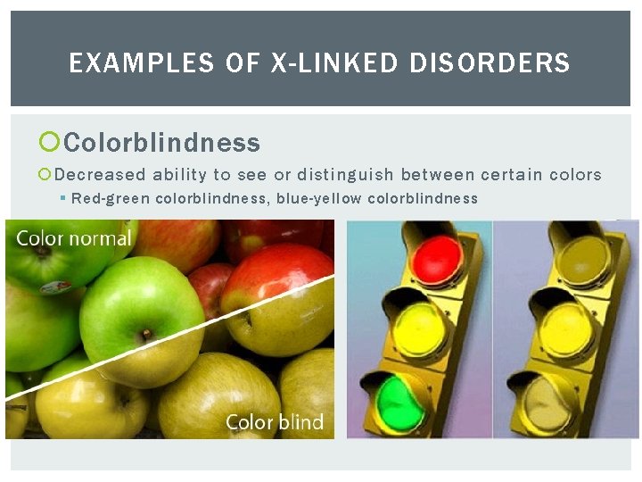 EXAMPLES OF X-LINKED DISORDERS Colorblindness Decreased ability to see or distinguish between certain colors
