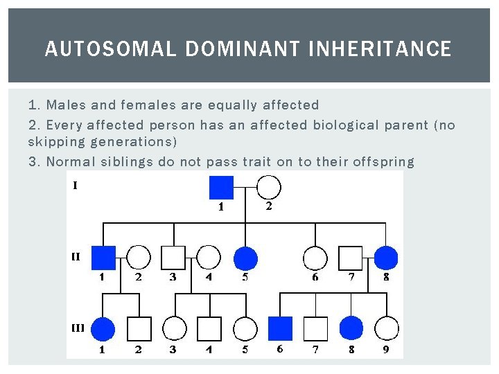 AUTOSOMAL DOMINANT INHERITANCE 1. Males and females are equally affected 2. Every affected person