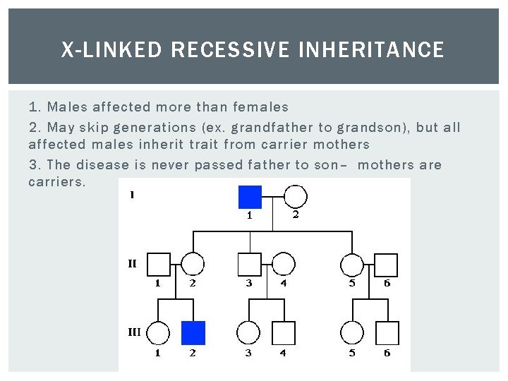 X-LINKED RECESSIVE INHERITANCE 1. Males affected more than females 2. May skip generations (ex.