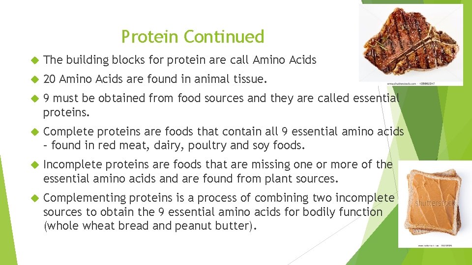 Protein Continued The building blocks for protein are call Amino Acids 20 Amino Acids