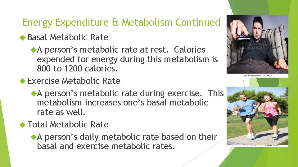 Energy Expenditure & Metabolism Continued Basal Metabolic Rate A person’s metabolic rate at rest.