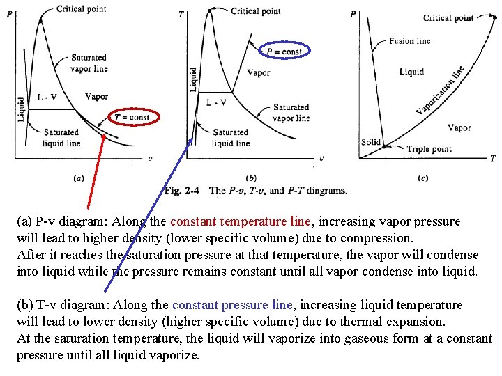 (a) P-v diagram: Along the constant temperature line, increasing vapor pressure will lead to