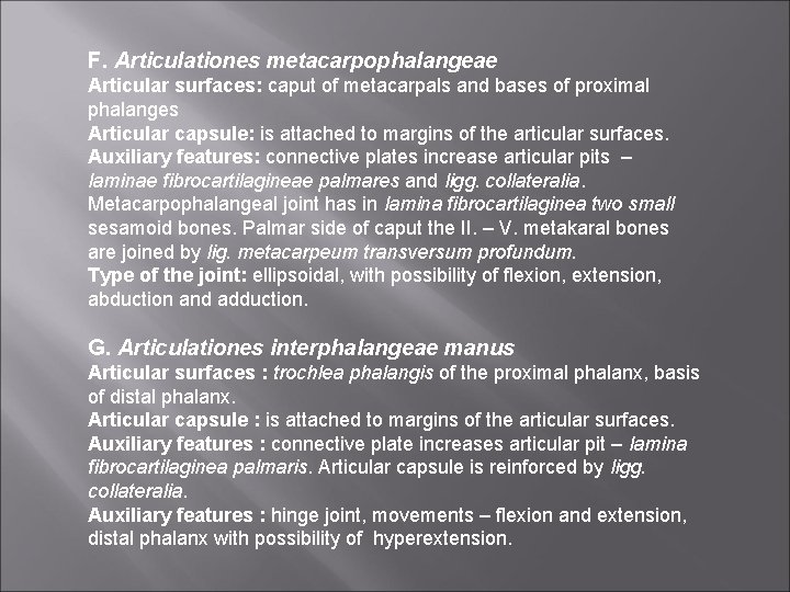 F. Articulationes metacarpophalangeae Articular surfaces: caput of metacarpals and bases of proximal phalanges Articular