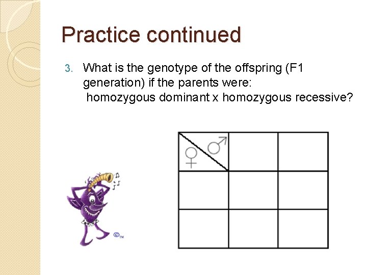 Practice continued 3. What is the genotype of the offspring (F 1 generation) if