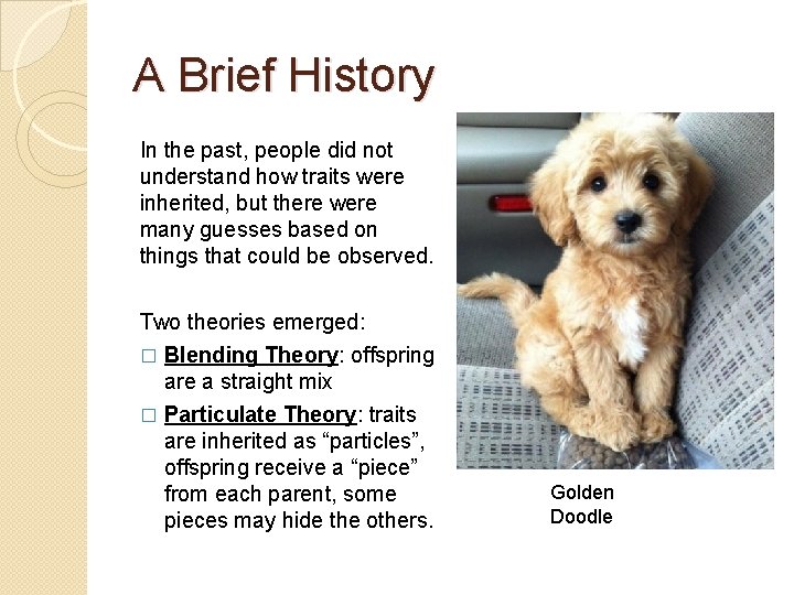 A Brief History In the past, people did not understand how traits were inherited,