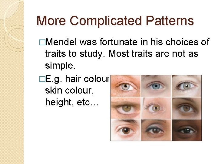 More Complicated Patterns �Mendel was fortunate in his choices of traits to study. Most