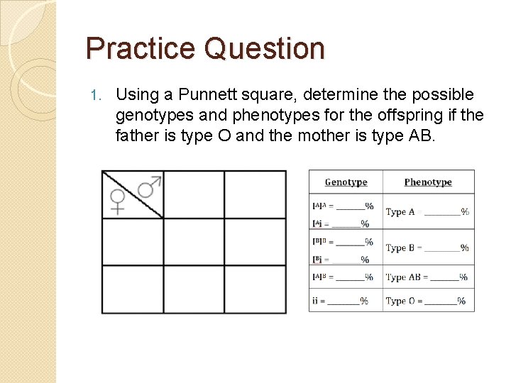 Practice Question 1. Using a Punnett square, determine the possible genotypes and phenotypes for