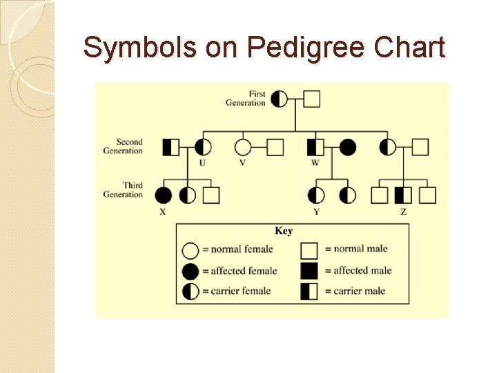 Symbols on Pedigree Chart 