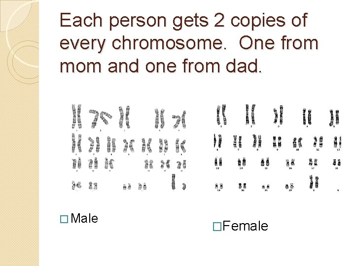 Each person gets 2 copies of every chromosome. One from mom and one from