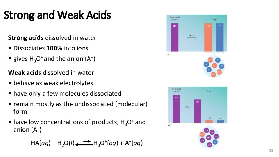 Strong and Weak Acids Strong acids dissolved in water § Dissociates 100% into ions
