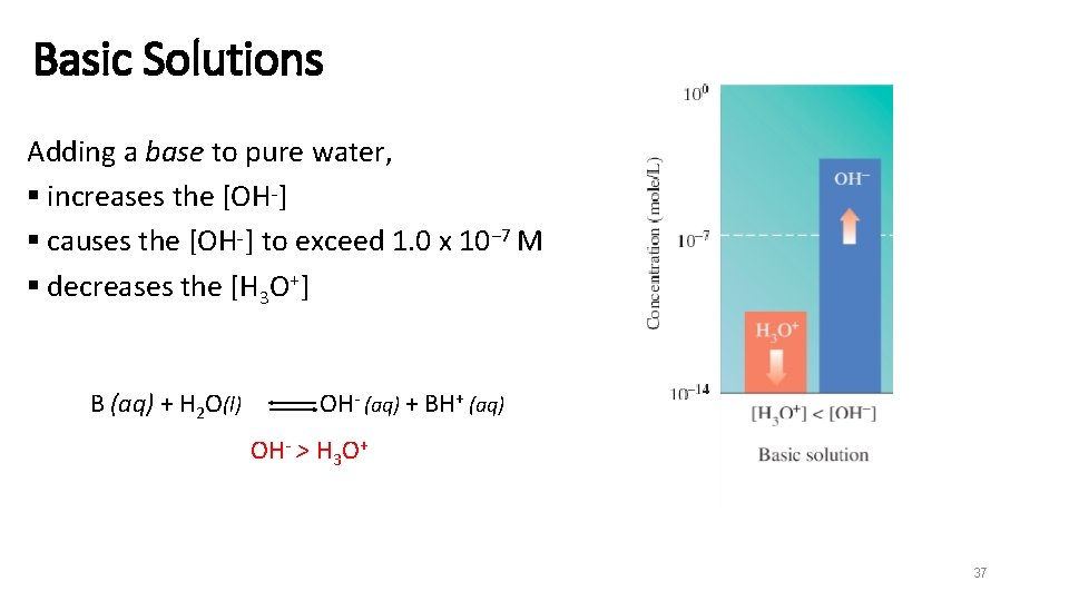Basic Solutions Adding a base to pure water, § increases the [OH−] § causes
