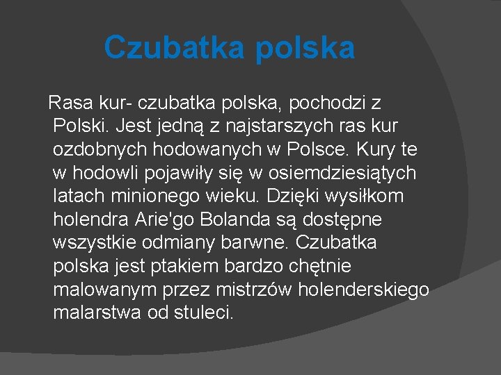 Czubatka polska Rasa kur- czubatka polska, pochodzi z Polski. Jest jedną z najstarszych ras