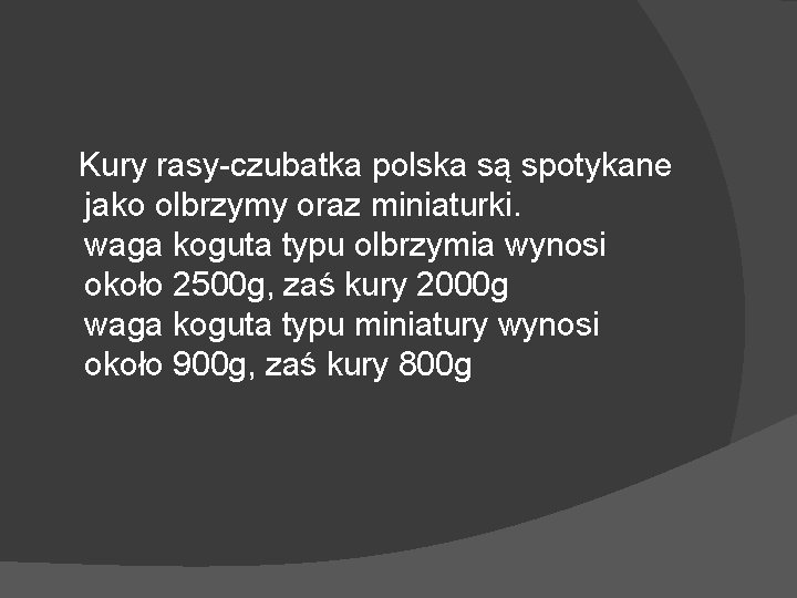 Kury rasy-czubatka polska są spotykane jako olbrzymy oraz miniaturki. waga koguta typu olbrzymia wynosi