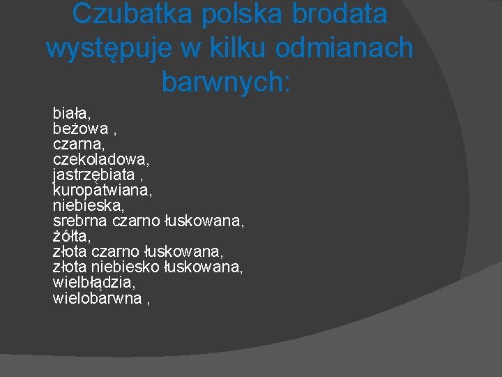 Czubatka polska brodata występuje w kilku odmianach barwnych: biała, beżowa , czarna, czekoladowa, jastrzębiata