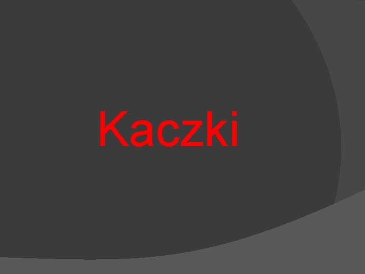 Kaczki 
