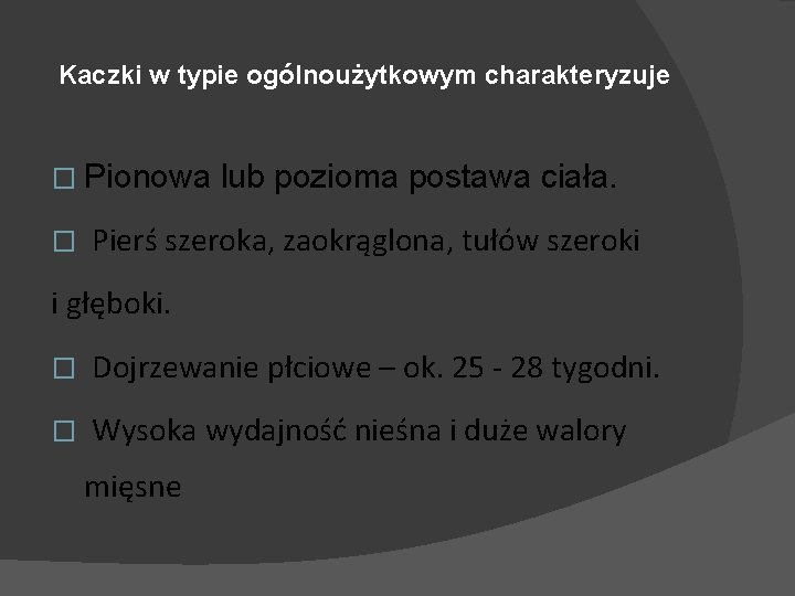 Kaczki w typie ogólnoużytkowym charakteryzuje � Pionowa � lub pozioma postawa ciała. Pierś szeroka,