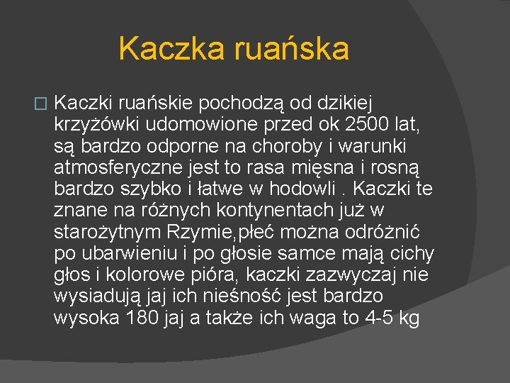 Kaczka ruańska � Kaczki ruańskie pochodzą od dzikiej krzyżówki udomowione przed ok 2500 lat,