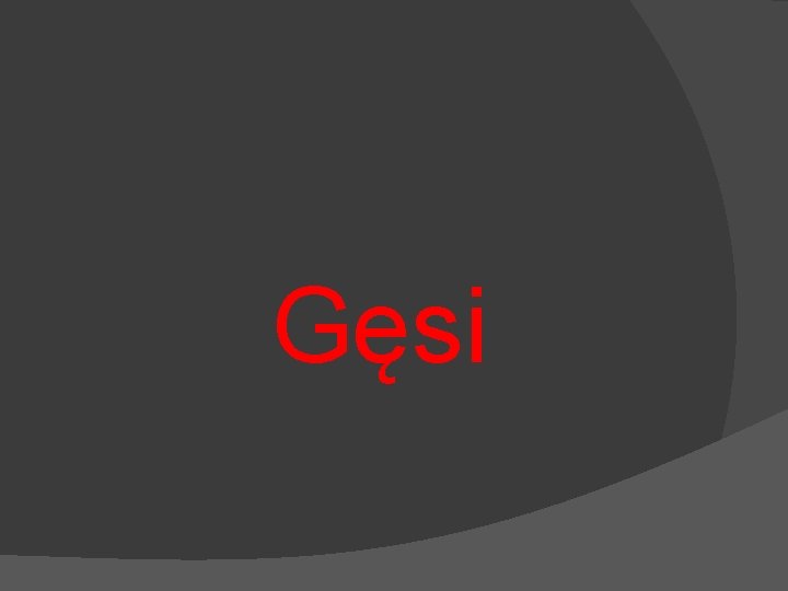 Gęsi 
