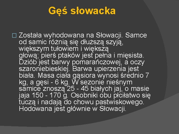 Gęś słowacka � Została wyhodowana na Słowacji. Samce od samic różnią się dłuższą szyją,