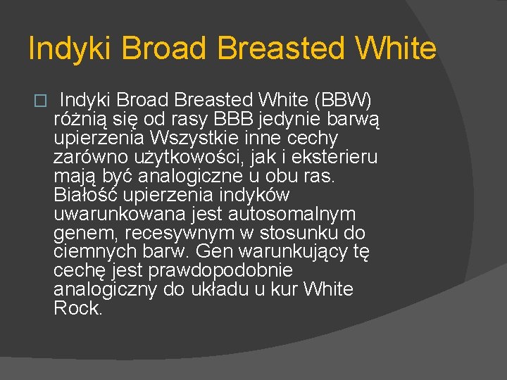 Indyki Broad Breasted White � Indyki Broad Breasted White (BBW) różnią się od rasy