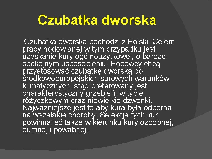 Czubatka dworska pochodzi z Polski. Celem pracy hodowlanej w tym przypadku jest uzyskanie kury