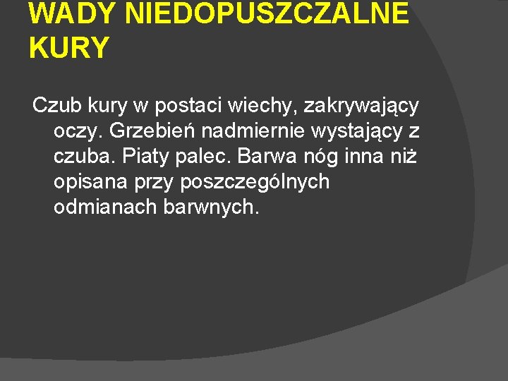 WADY NIEDOPUSZCZALNE KURY Czub kury w postaci wiechy, zakrywający oczy. Grzebień nadmiernie wystający z