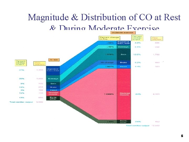 Magnitude & Distribution of CO at Rest & During Moderate Exercise 5 