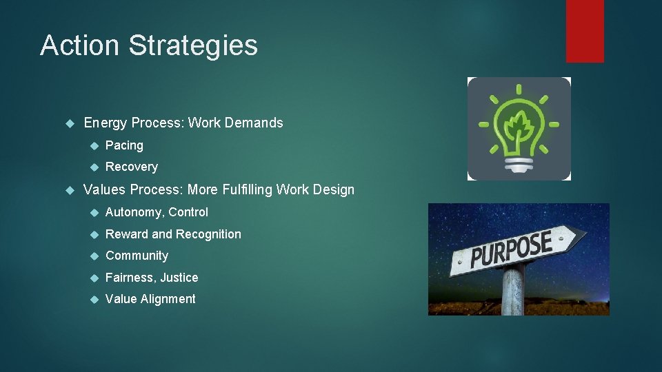 Action Strategies Energy Process: Work Demands Pacing Recovery Values Process: More Fulfilling Work Design
