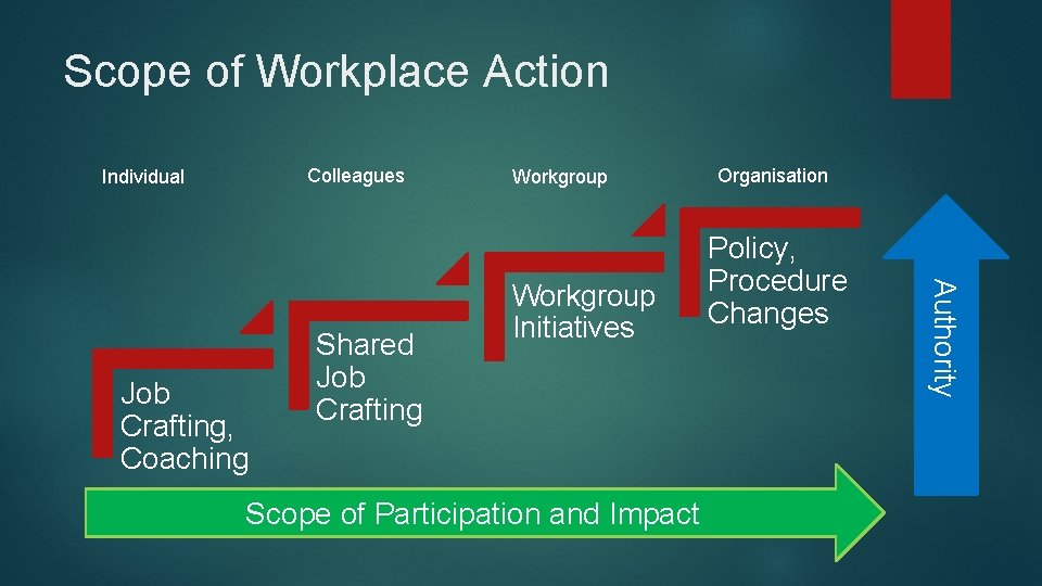 Scope of Workplace Action Colleagues Individual Workgroup Initiatives Scope of Participation and Impact Organisation