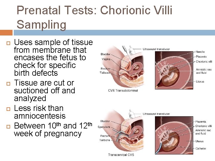 Prenatal Tests: Chorionic Villi Sampling Uses sample of tissue from membrane that encases the