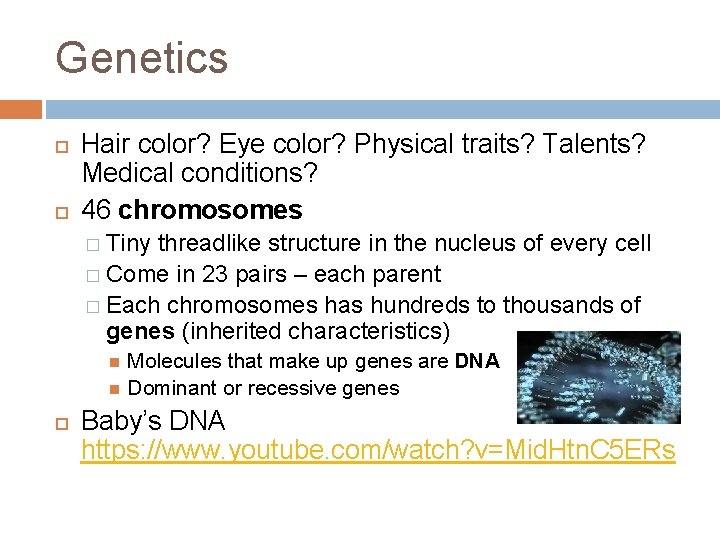 Genetics Hair color? Eye color? Physical traits? Talents? Medical conditions? 46 chromosomes � Tiny