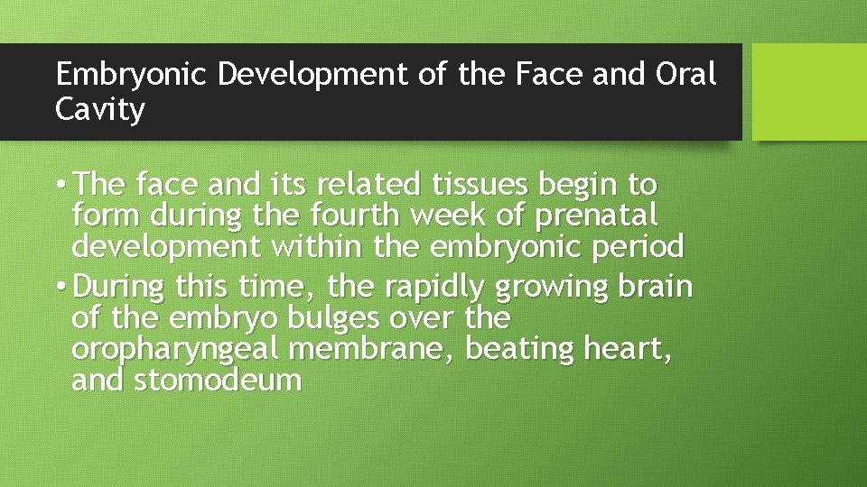Embryonic Development of the Face and Oral Cavity • The face and its related