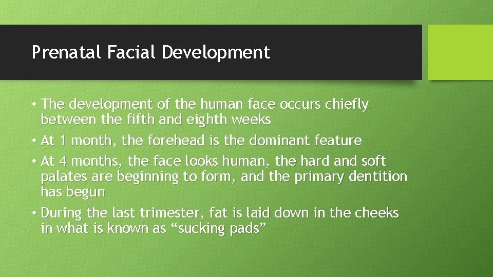 Prenatal Facial Development • The development of the human face occurs chiefly between the