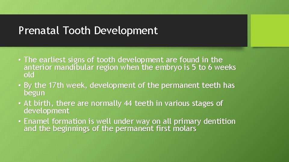 Prenatal Tooth Development • The earliest signs of tooth development are found in the