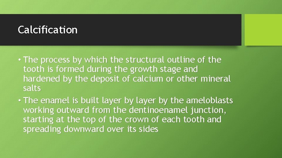 Calcification • The process by which the structural outline of the tooth is formed