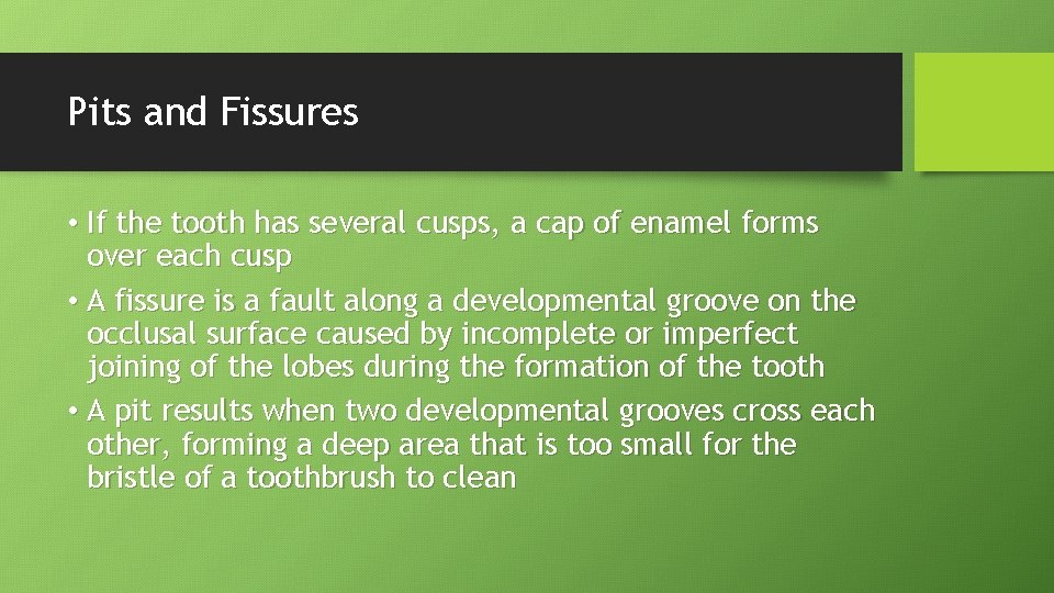 Pits and Fissures • If the tooth has several cusps, a cap of enamel