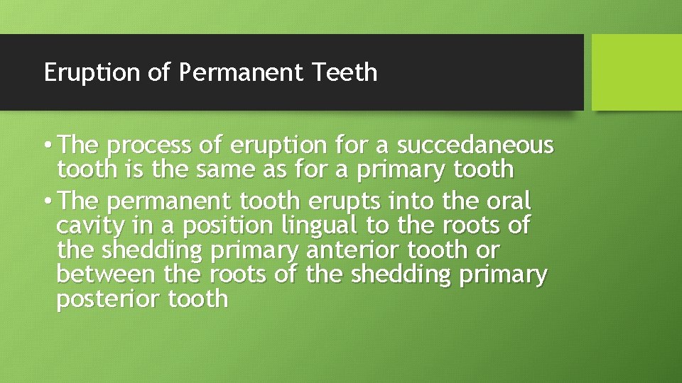 Eruption of Permanent Teeth • The process of eruption for a succedaneous tooth is