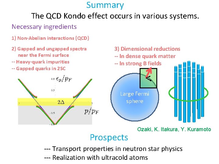 Summary The QCD Kondo effect occurs in various systems. Necessary ingredients 1) Non-Abelian interactions