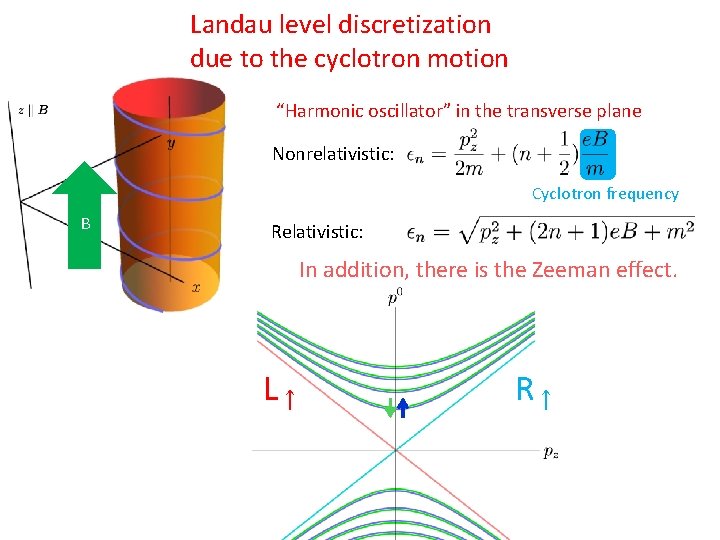 Landau level discretization due to the cyclotron motion “Harmonic oscillator” in the transverse plane