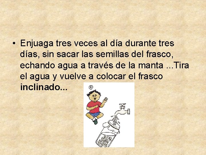  • Enjuaga tres veces al día durante tres días, sin sacar las semillas