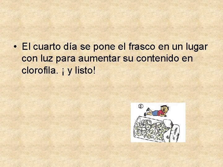  • El cuarto día se pone el frasco en un lugar con luz