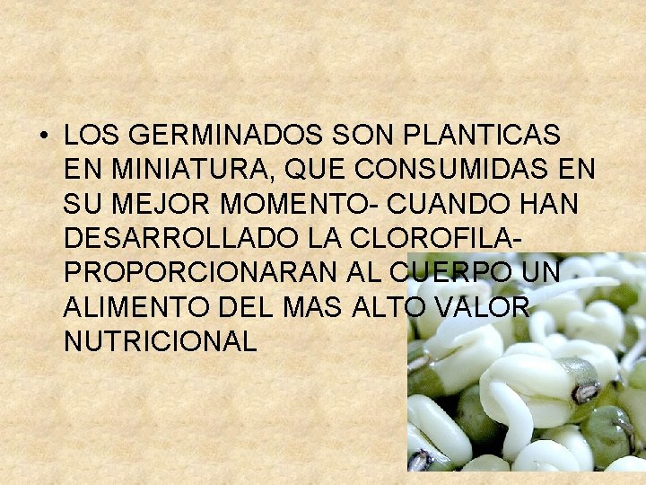  • LOS GERMINADOS SON PLANTICAS EN MINIATURA, QUE CONSUMIDAS EN SU MEJOR MOMENTO-