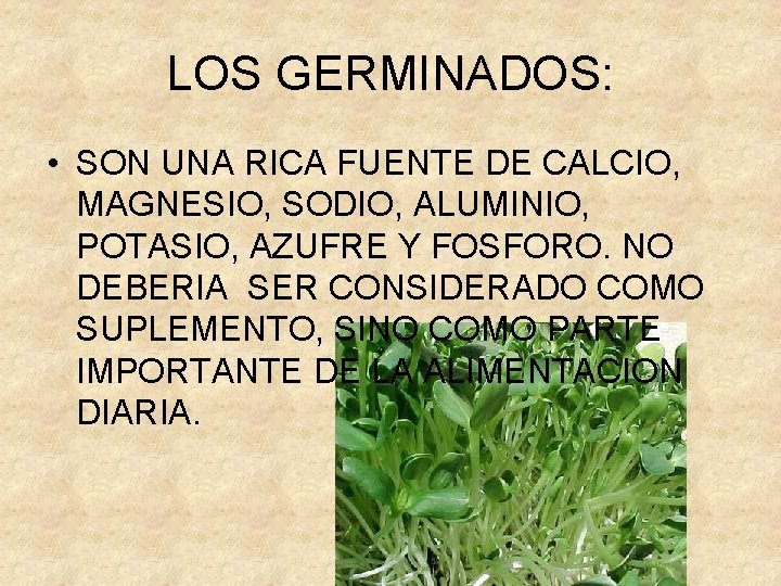 LOS GERMINADOS: • SON UNA RICA FUENTE DE CALCIO, MAGNESIO, SODIO, ALUMINIO, POTASIO, AZUFRE